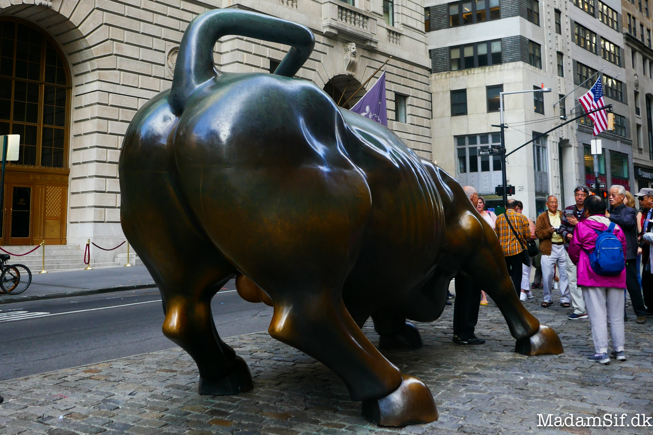 Charging Bull, hedder den