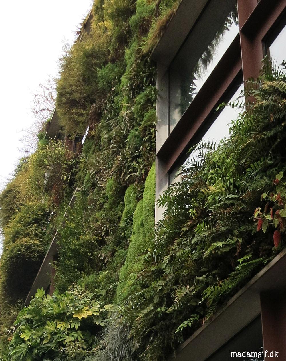 Mur végetal hedder den grønne facade, og den ligger på Quai Branly.