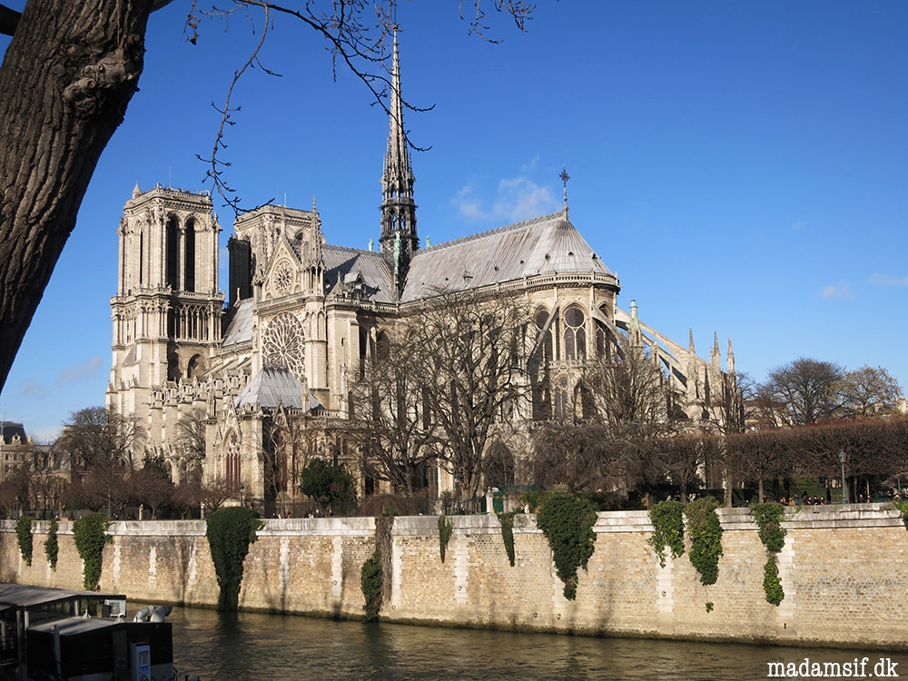 Altid fotogen er hun, Notre-Dame de Paris.